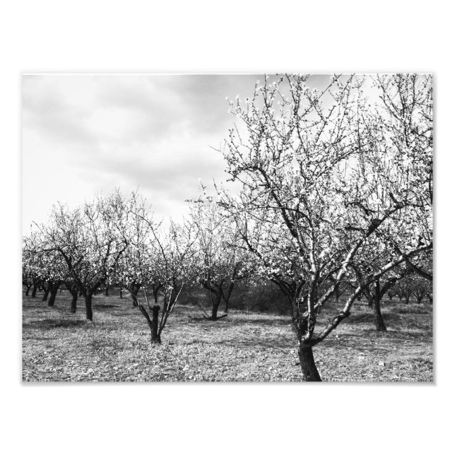 Foto naturaleza (Frente)
