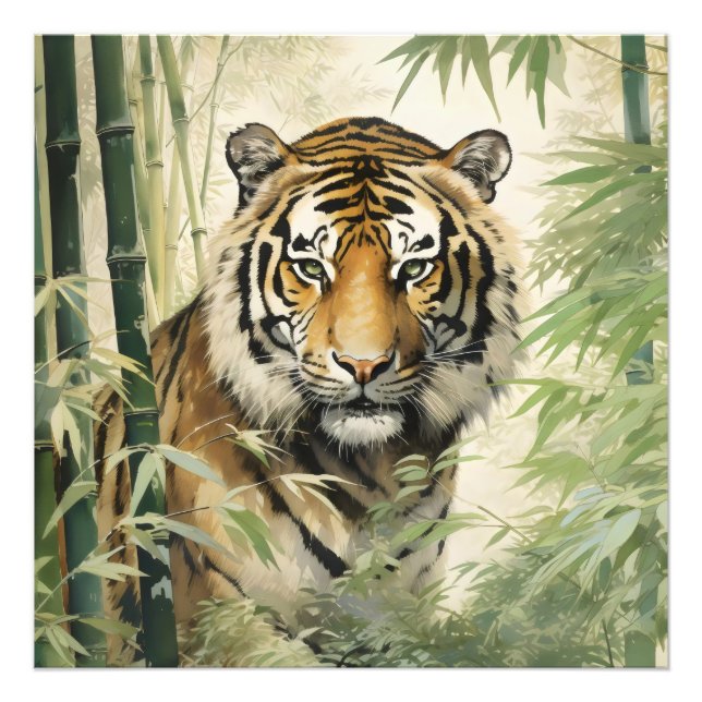 Foto Naturaleza animal Tigre Bamboo (Frente)