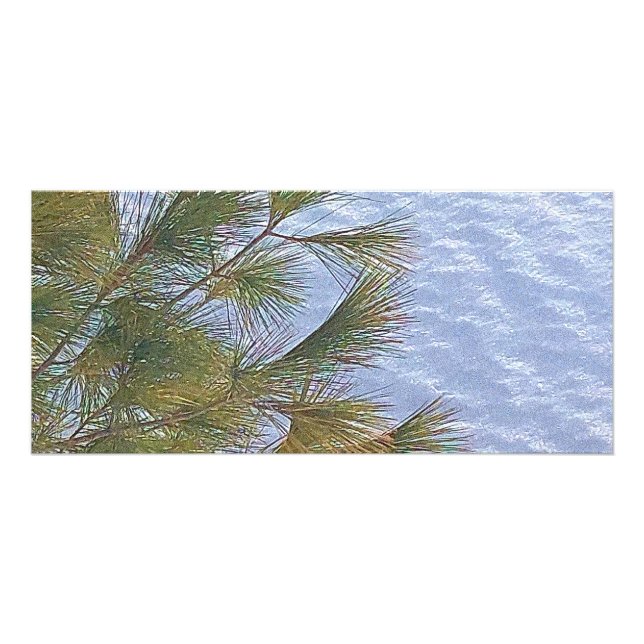 Foto Naturaleza de Invierno de Ottawa. ¡Hazte con una e (Frente)