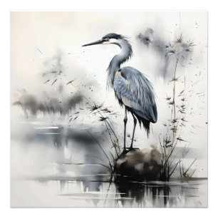 Foto Naturaleza de la garza