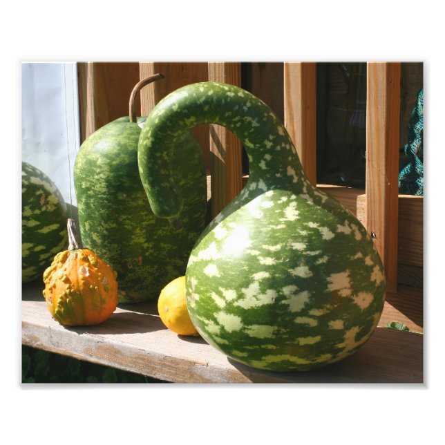 Foto Naturaleza Gigante de Gourds (Frente)