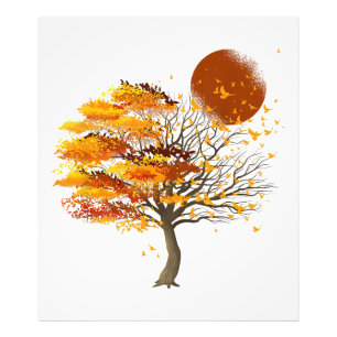 Foto Naturaleza Vida Silvestre Llenos De Árbol De La Lu