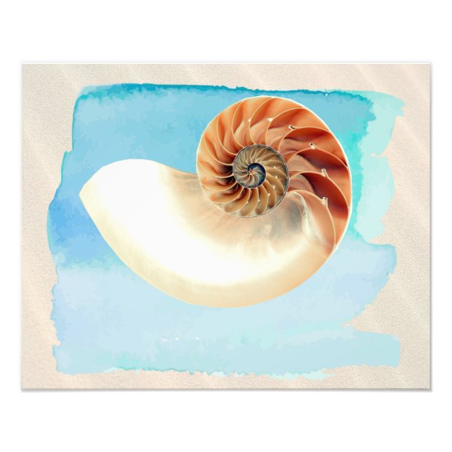 Foto Nautilus Seashell and Sand (Frente)