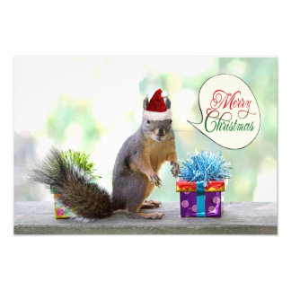 Foto Navidades ardilla con regalos de Navidad
