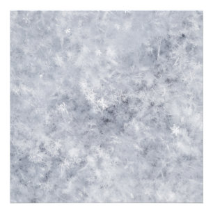 Foto Navidades blancos de nieve