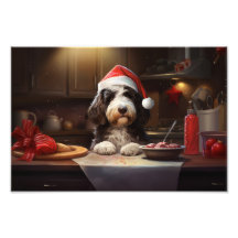 Navidades de Bernedoodle en vacaciones festivas