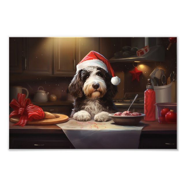 Foto Navidades de Bernedoodle en vacaciones festivas (Frente)