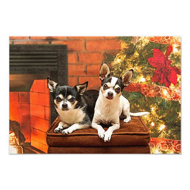 Foto Navidades de Chihuahua (Frente)