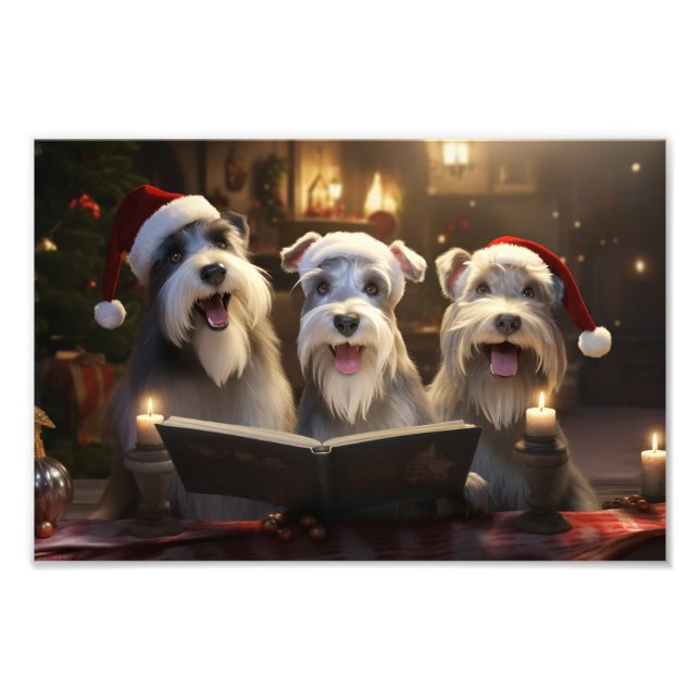 Foto Navidades de Schnauzers en vacaciones festivas (Frente)