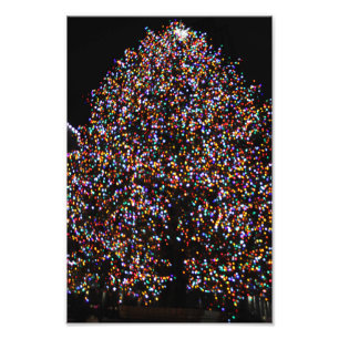 FOTO NAVIDADES ILUMINAN EN LA ROCA