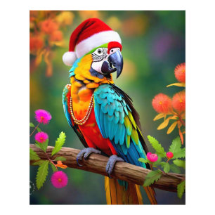 Foto Navidades Macaw Con Un Sombrero Santa-56485