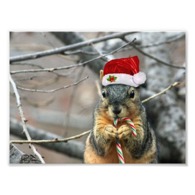 Foto Navidades Squirrel (Frente)