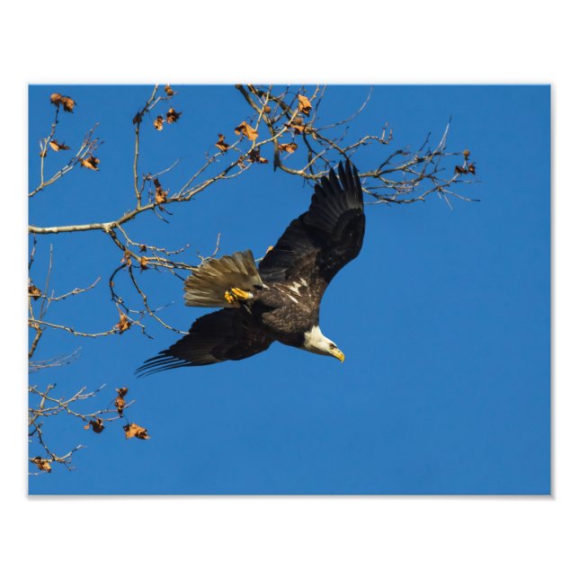 Foto Negocio serio (Frente)