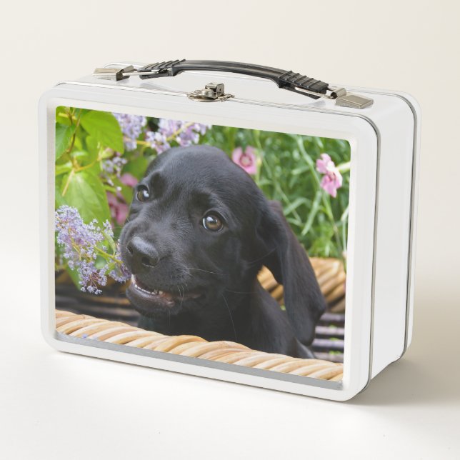 Foto negra linda del mascota del perrito del perro (Anverso)