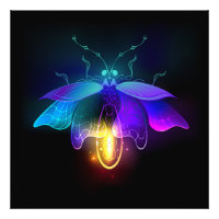 Neon Firefly en negro