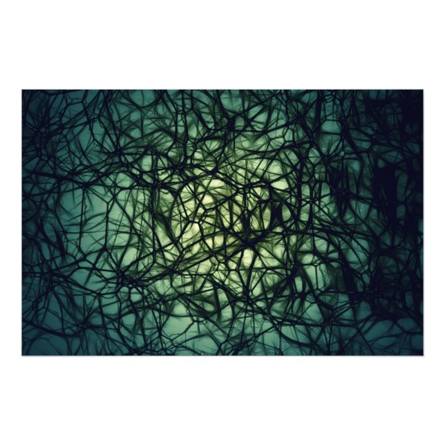 Foto Neuronas (Frente)