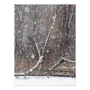 Foto Nevando en el parque