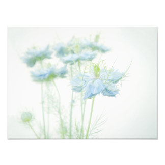 Foto Niebla azul grande