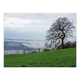 Foto Niebla matutina