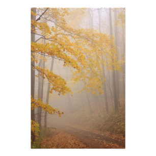 Foto Niebla y follaje de otoño, Grandes Montañas Humean