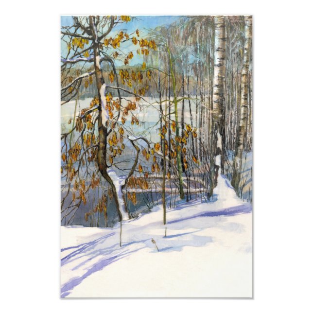 Foto Nieve caída (Frente)