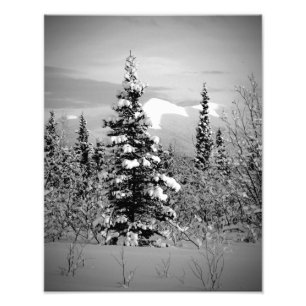 Foto Nieve de invierno