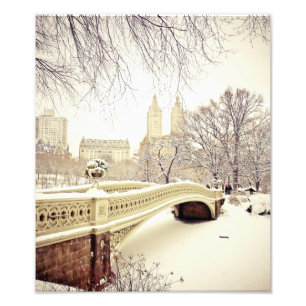 Foto Nieve en Central Park - Nueva York en invierno