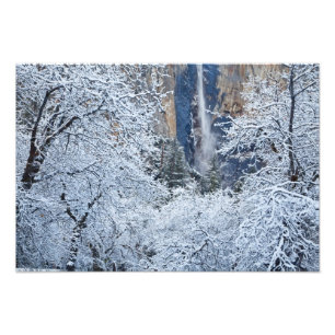 Foto Nieve fresca en los árboles debajo de Bridalveil