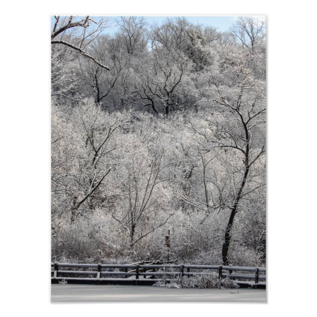 Foto Nieve Sobre El Estanque (Frente)