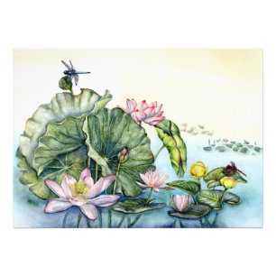 Foto Nieves y flores de Lotus en Japón