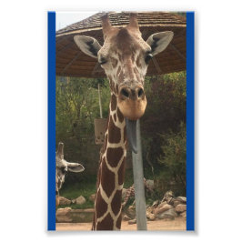 Foto Niño mono 4X6 Imprimir #2