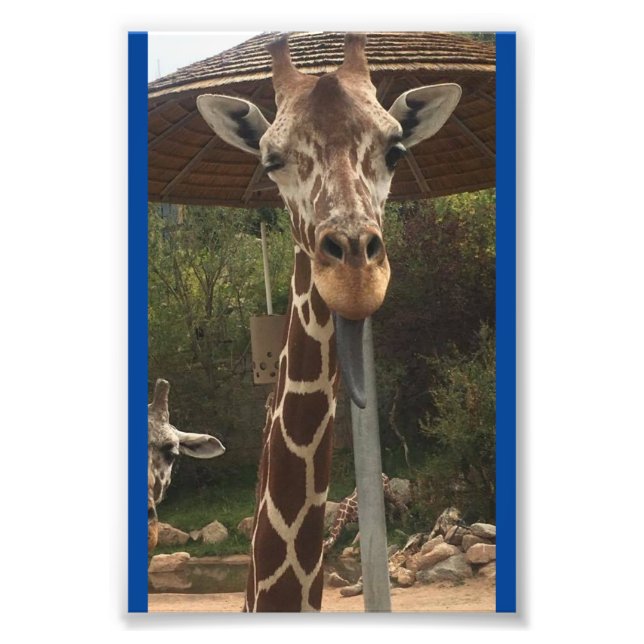 Foto Niño mono 4X6 Imprimir #2 (Frente)