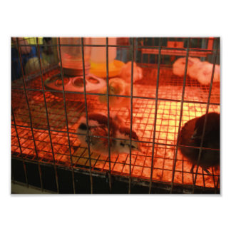 Foto Niño recién nacido en incubadora