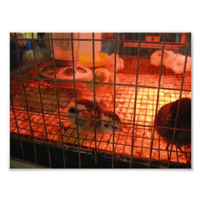 Foto Niño recién nacido en incubadora (Frente)