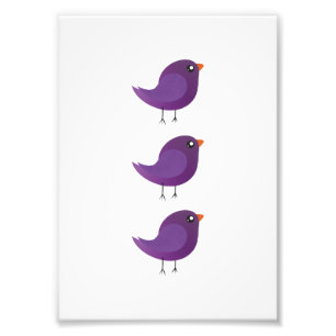 Foto Niños pajarito lindo