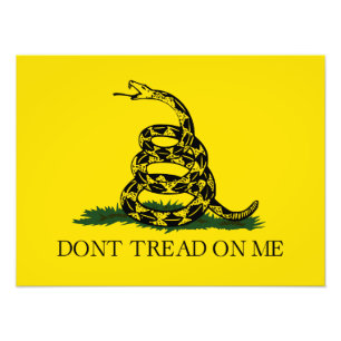 Foto No me enseñes la bandera de Gadsden
