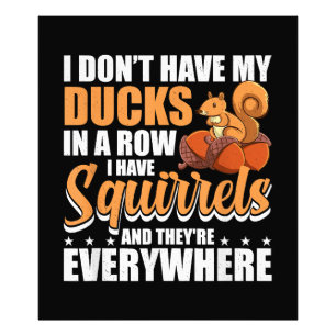 Foto No tengo mis pollos en la fila tengo ardillas