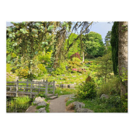 Foto Noche de primavera