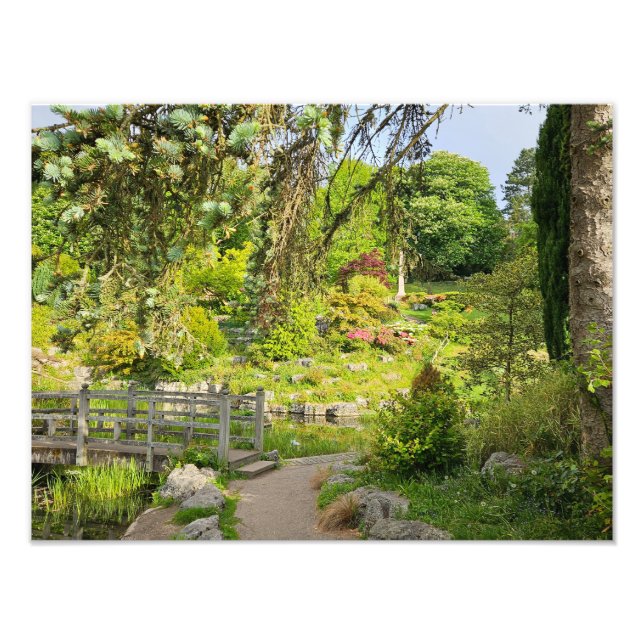 Foto Noche de primavera (Frente)