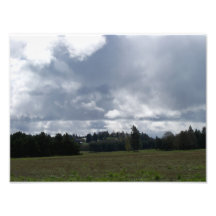 Noroeste del Pacífico