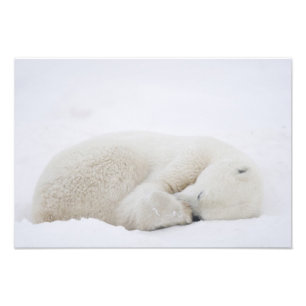 Foto Norteamérica, Canadá, Manitoba, Churchill. 4