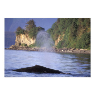 Foto Norteamérica, EE. UU., Alaska, Paso Interior.