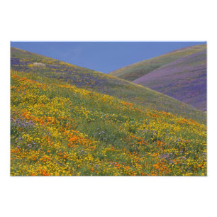 Foto Norteamérica, EE. UU., California, Los Ángeles