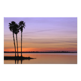 Foto Norteamérica, EE. UU., Florida, Mt. Dora, un trío