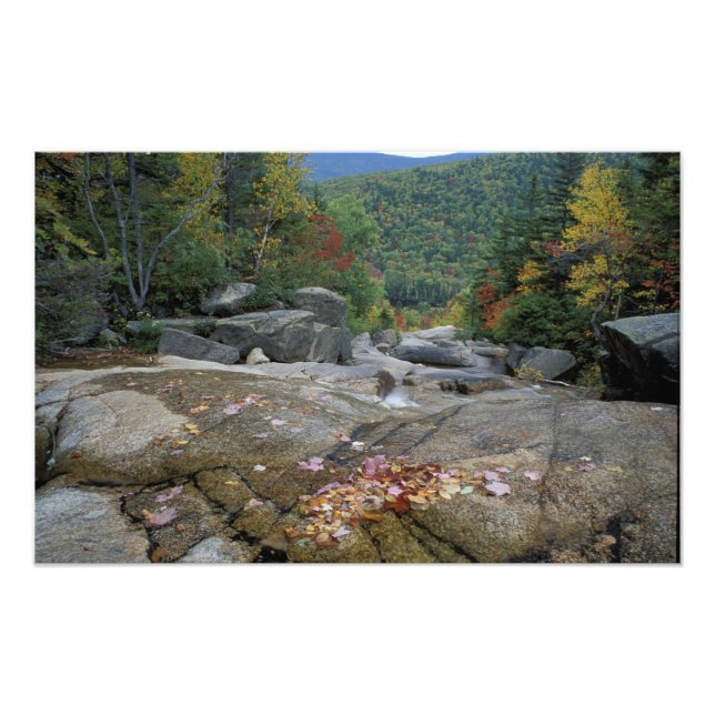 Foto Norteamérica, EE.UU., NH, follaje otoñal en Nueva  (Frente)