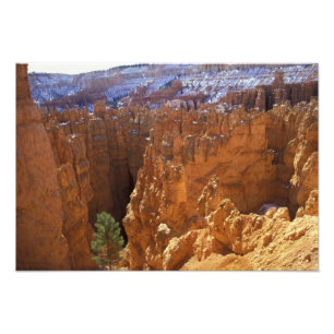Foto Norteamérica, EE. UU., Utah, Bryce Canyon 2