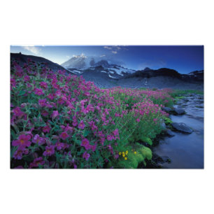 Foto Norteamérica, EE. UU., Washington, Mt. Rainier 6
