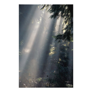 Foto Norteamérica, EE. UU., Washington, Parque Nacional