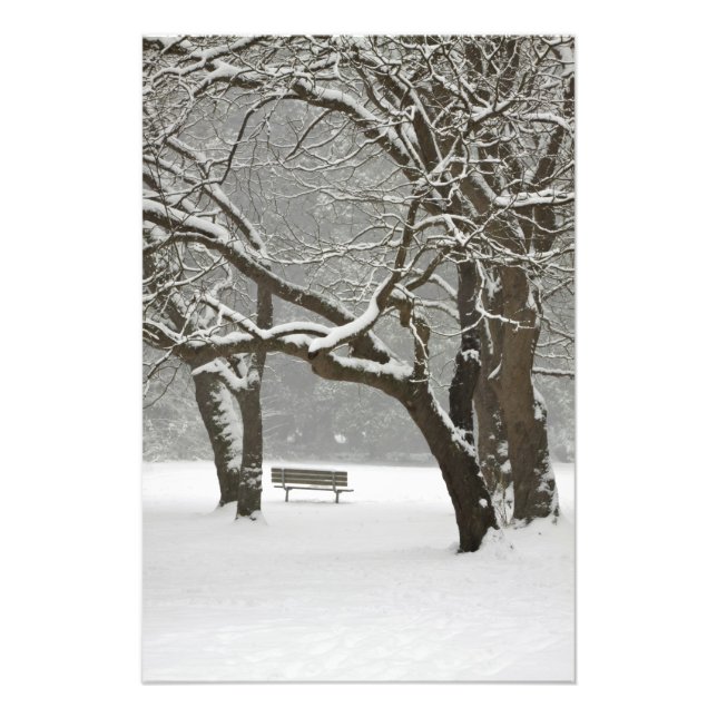 Foto Norteamérica, EE. UU., Washington, Seattle, Nieve  (Frente)