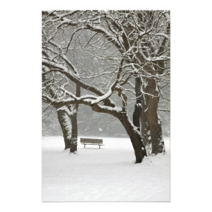 Foto Norteamérica, EE. UU., Washington, Seattle, Nieve